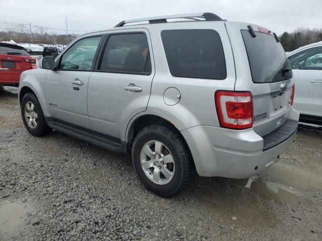 2010 Ford Escape Hybrid