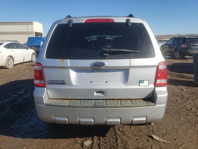 2011 Ford Escape XLT