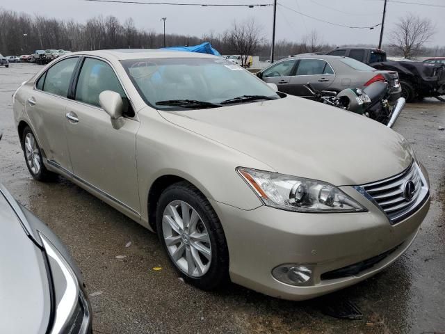 2011 Lexus ES 350