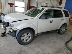 Salvage cars for sale from Copart Helena, MT: 2011 Ford Escape XLT