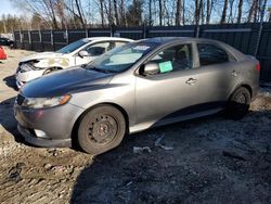 KIA Forte salvage cars for sale: 2012 KIA Forte SX