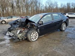 Salvage cars for sale from Copart Finksburg, MD: 2021 Toyota Camry LE