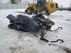Salvage cars for sale from Copart Wayland, MI: 2015 Skidoo Snowmobile