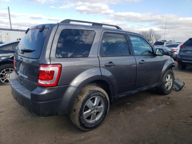 2011 Ford Escape XLT