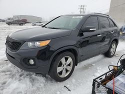 KIA Sorento EX salvage cars for sale: 2013 KIA Sorento EX