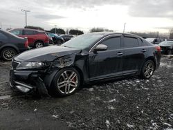 KIA Optima SX Vehiculos salvage en venta: 2013 KIA Optima SX