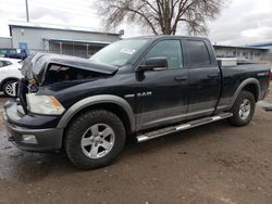 Vehiculos salvage en venta de Copart Albuquerque, NM: 2010 Dodge RAM 1500