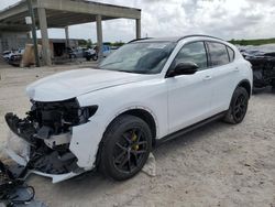 Alfa Romeo Vehiculos salvage en venta: 2020 Alfa Romeo Stelvio