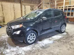 Ford salvage cars for sale: 2019 Ford Ecosport SE