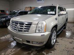 Cadillac Escalade salvage cars for sale: 2008 Cadillac Escalade ESV