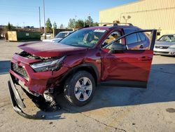 Toyota Rav4 salvage cars for sale: 2023 Toyota Rav4 LE