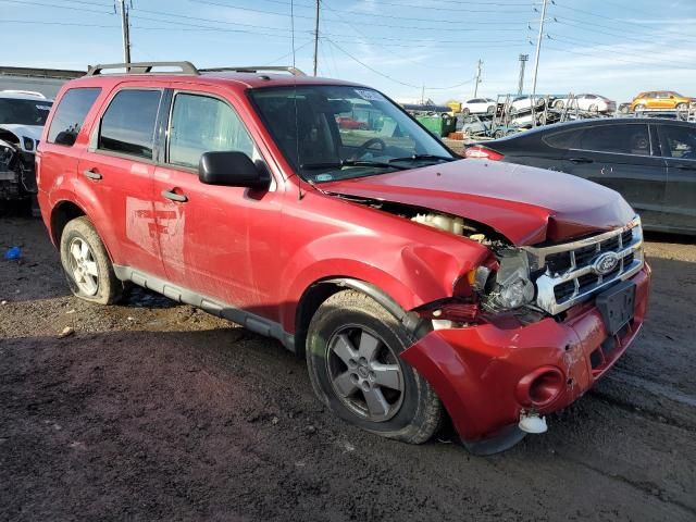 2010 Ford Escape XLT