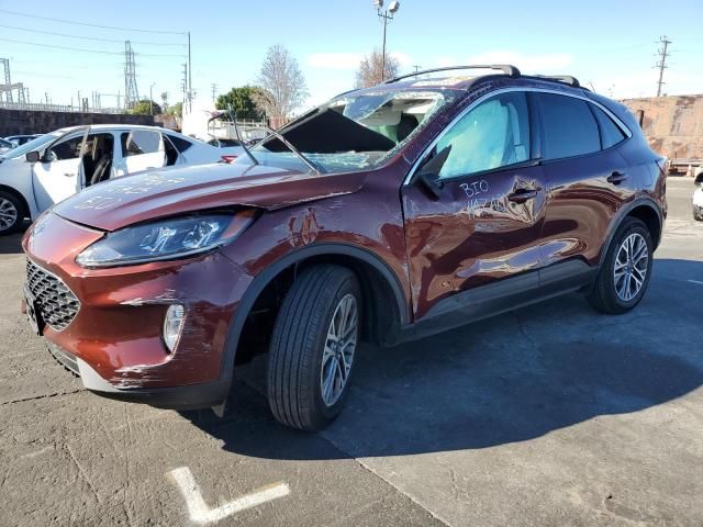 2021 Ford Escape SEL