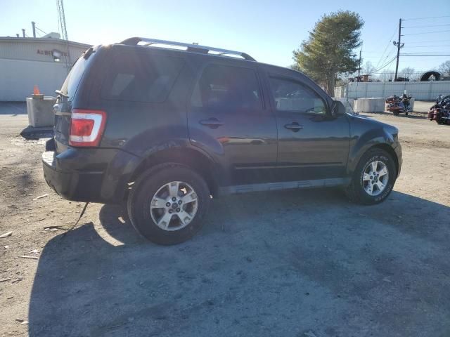 2011 Ford Escape Limited