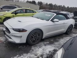 Ford salvage cars for sale: 2019 Ford Mustang