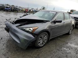Salvage cars for sale at Eugene, OR auction: 2011 Honda Accord EXL