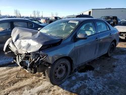 Vehiculos salvage en venta de Copart Rocky View County, AB: 2013 Toyota Corolla Base