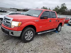 Salvage cars for sale from Copart Memphis, TN: 2013 Ford F150 Supercrew