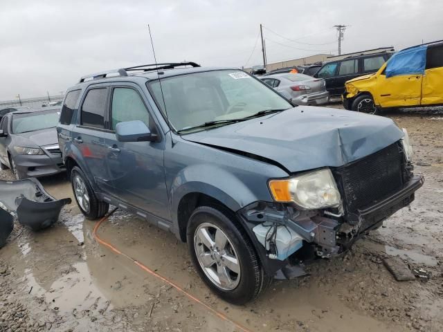 2010 Ford Escape Limited