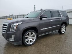 Salvage cars for sale at Fresno, CA auction: 2016 Cadillac Escalade Premium