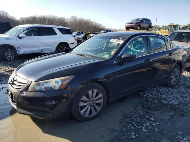 2012 Honda Accord EXL