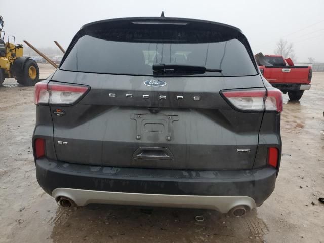 2020 Ford Escape SE Sport