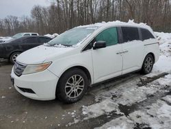 Salvage cars for sale at Assonet, MA auction: 2012 Honda Odyssey EXL