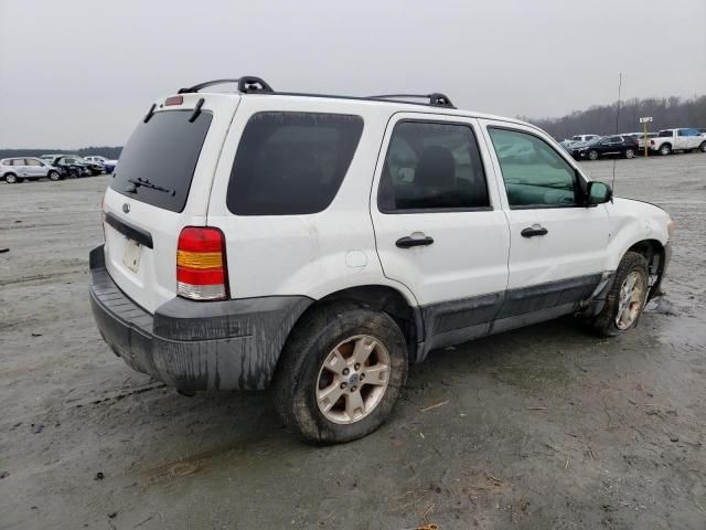 2005 Ford Escape XLT