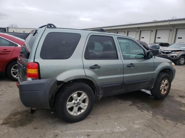 2006 Ford Escape XLT