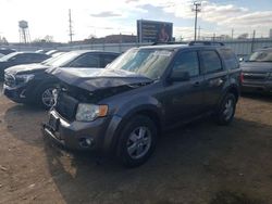 Salvage cars for sale from Copart Chicago Heights, IL: 2011 Ford Escape XLT