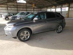 Salvage cars for sale at Phoenix, AZ auction: 2014 Lexus RX 350 Base