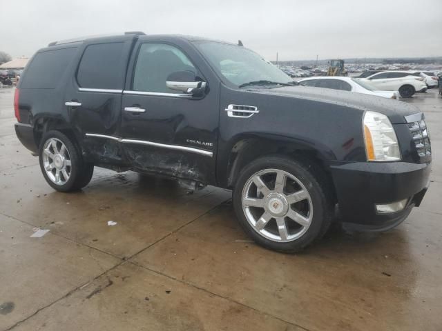 2010 Cadillac Escalade Premium