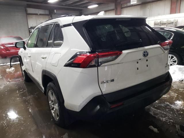 2019 Toyota Rav4 LE