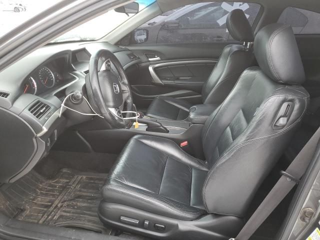 2009 Honda Accord EXL