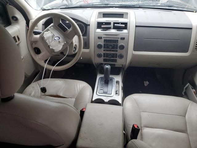 2008 Ford Escape XLT