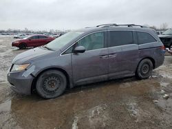 Salvage cars for sale from Copart London, ON: 2014 Honda Odyssey EX
