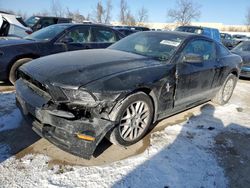 Ford salvage cars for sale: 2013 Ford Mustang