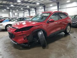 Salvage cars for sale from Copart Ham Lake, MN: 2020 Ford Escape SE