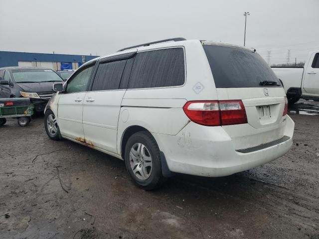 2005 Honda Odyssey EX