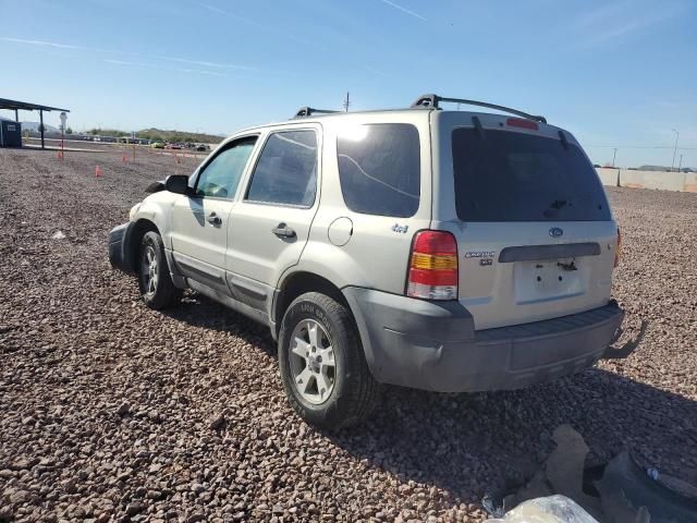 2006 Ford Escape XLT