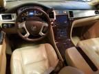 2011 Cadillac Escalade Luxury