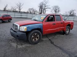 Vehiculos salvage en venta de Copart West Mifflin, PA: 2005 Dodge Dakota Quattro