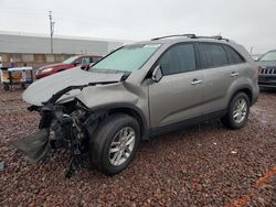 Salvage cars for sale at Phoenix, AZ auction: 2014 KIA Sorento LX