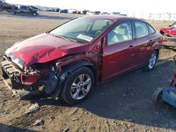 2013 Ford Focus SE en venta en Earlington, KY