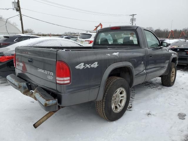 2004 Dodge Dakota SXT