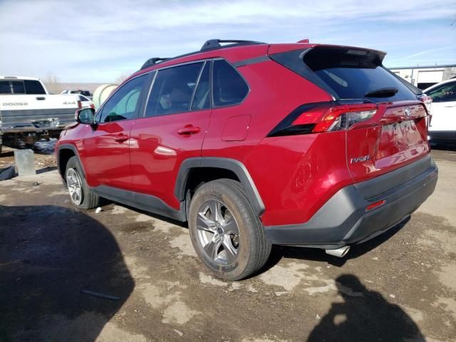 2023 Toyota Rav4 XLE