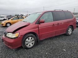 Salvage cars for sale from Copart Eugene, OR: 2004 Honda Odyssey EX