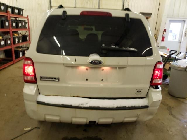 2009 Ford Escape XLT