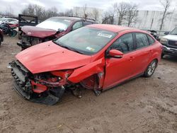 Ford Focus SE salvage cars for sale: 2017 Ford Focus SE