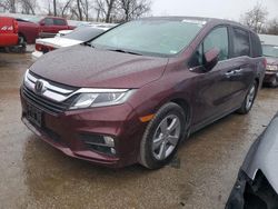 Salvage cars for sale at Bridgeton, MO auction: 2020 Honda Odyssey EXL
